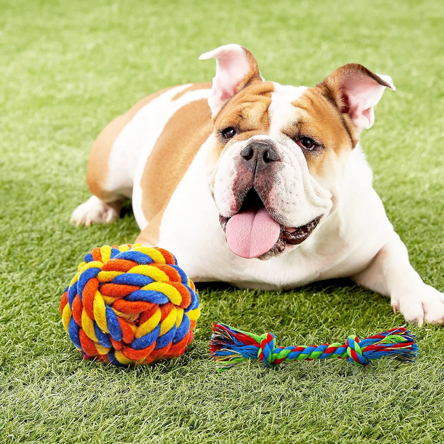 Dog Chew Toys for Puppies Teething, 14 Pack Puppy Chew Toys Tug of War Dog Toy Bundle Chew Ball Dog Squeaky Toys Iq Treat Ball Rubber Bone Puppy Teething Chew Toys Small Dog Puppy Toys