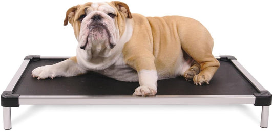 Chew Proof Elevated Cooling Dog Bed - Made for Aggressive Chewers, Virtually Indestructible, Mesh Sling with No Padding, Pre-Assembled - Small, Black Mesh