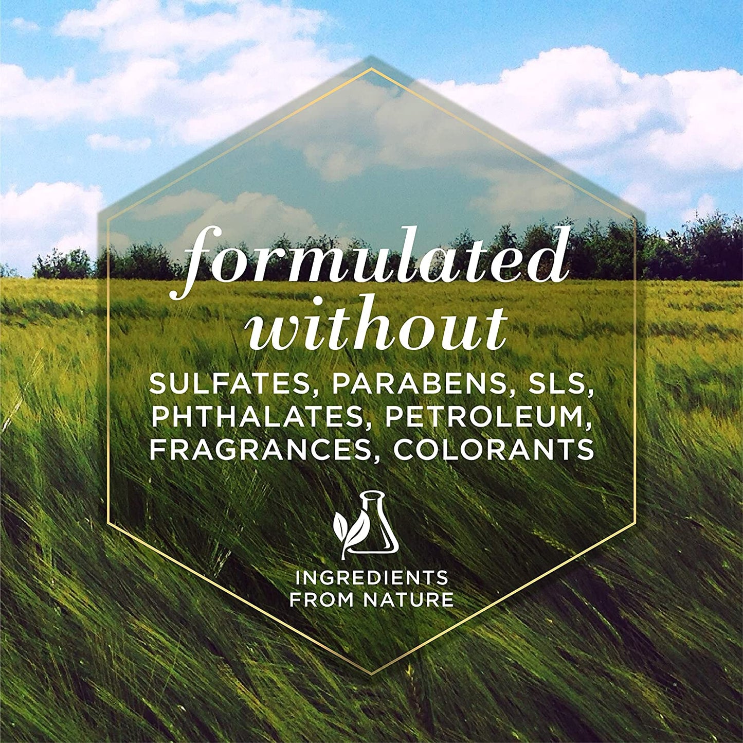 for Pets Multipurpose Dog Wipes with with Honey, 98% Natural Origin Formulas, Hypoallergenic Dog Wipes Cleaning, Dog Cleaning Wipes, Dog Wipes for Paws and Butt, 50Ct