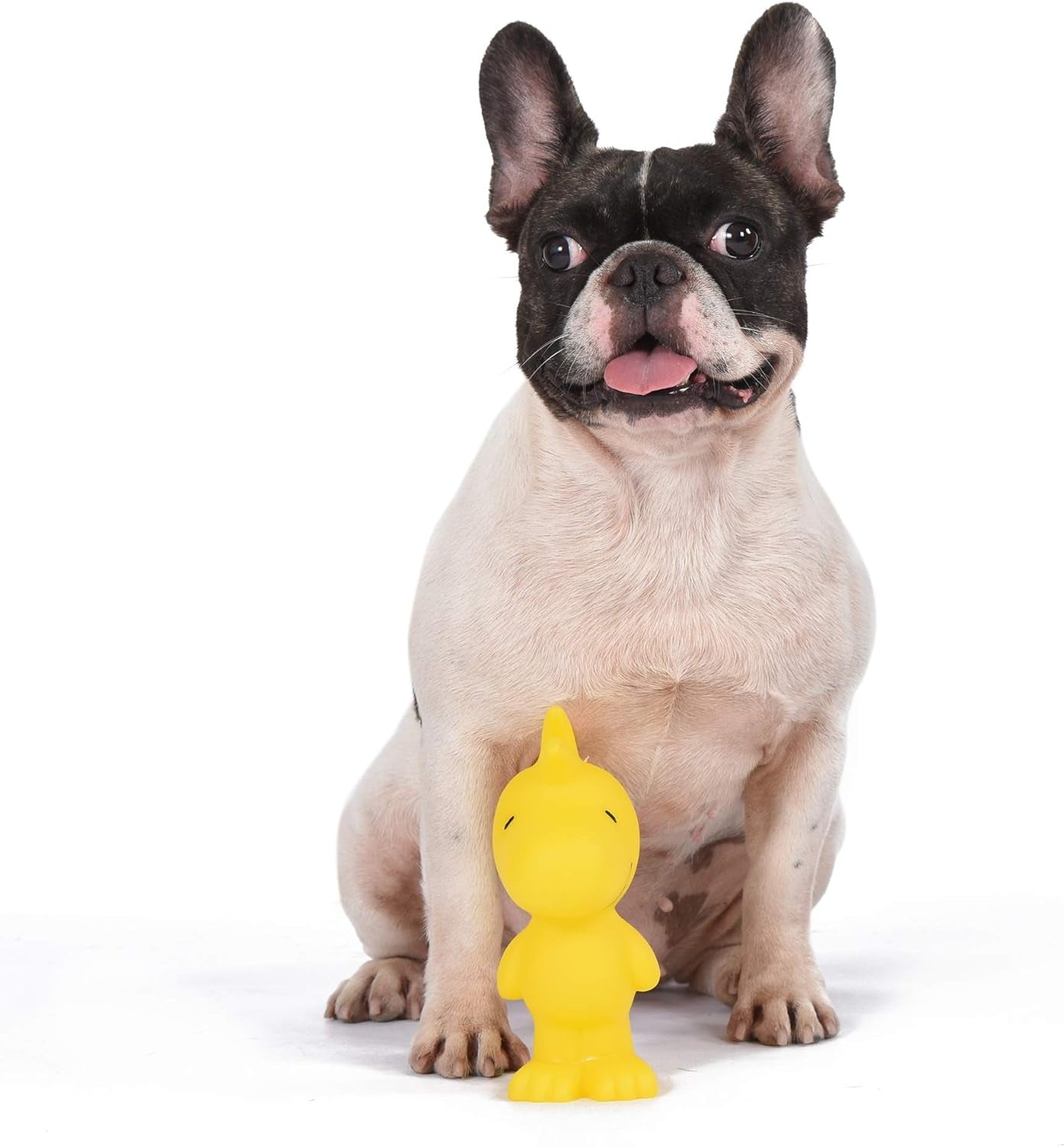 for Pets Charlie Brown Woodstock Vinyl Squeaker Dog Toy - Fun and Cute Toys for Aggressive Chewers - Officially Licensed, 5.5 Inch