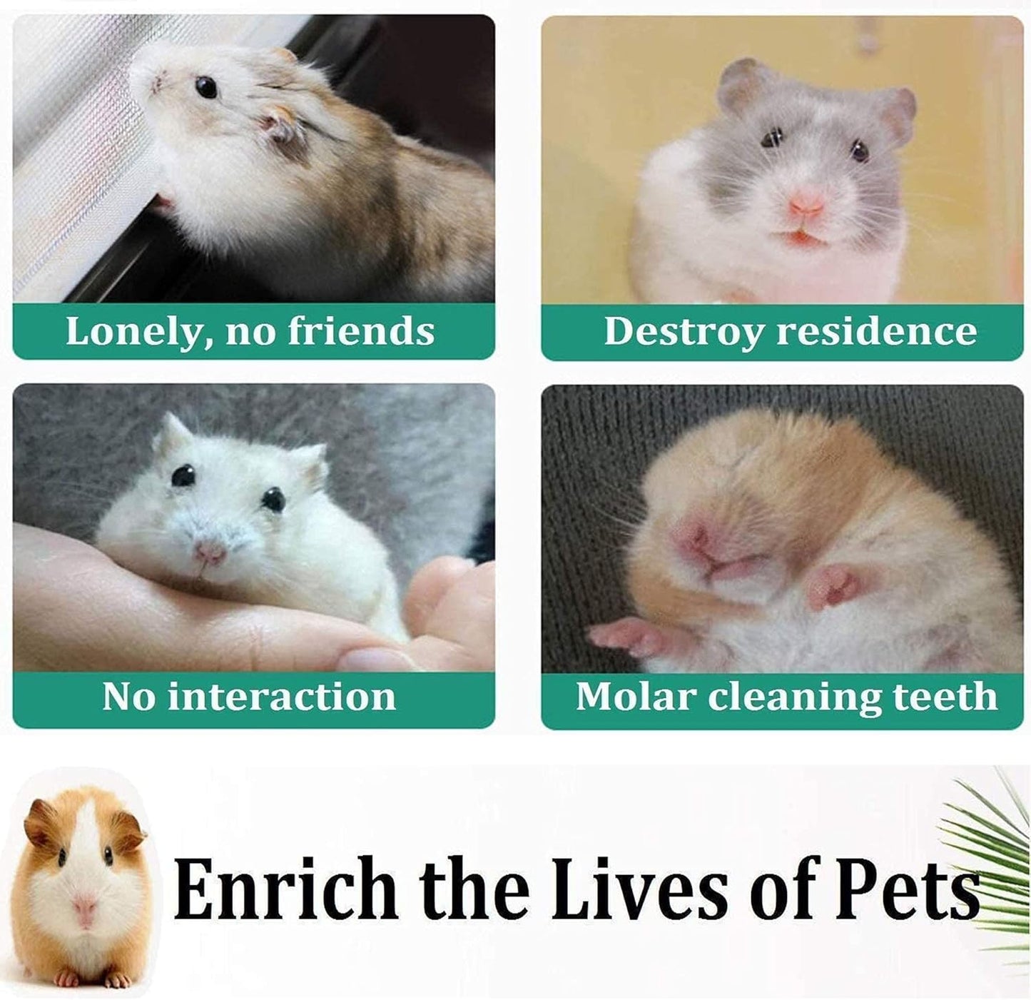 Hamster Chew Toys, Guinea Pig Toys Natural Wooden Pine Rats Chinchillas Toys Accessories Dumbells Exercise Bell Roller Teeth Care Molar Toy for Birds Bunny Rabbits Gerbils (Toy-4)