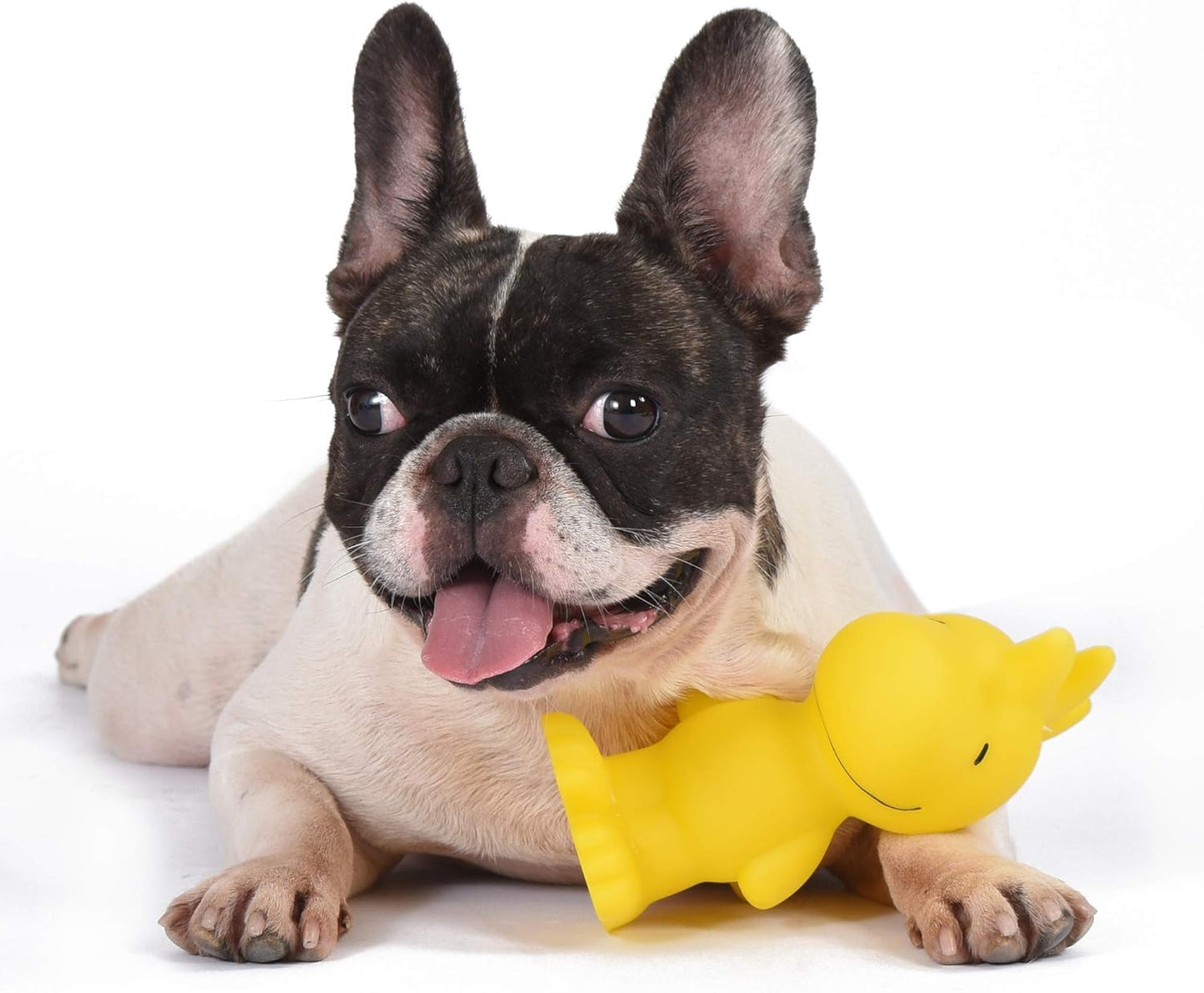 for Pets Charlie Brown Woodstock Vinyl Squeaker Dog Toy - Fun and Cute Toys for Aggressive Chewers - Officially Licensed, 5.5 Inch