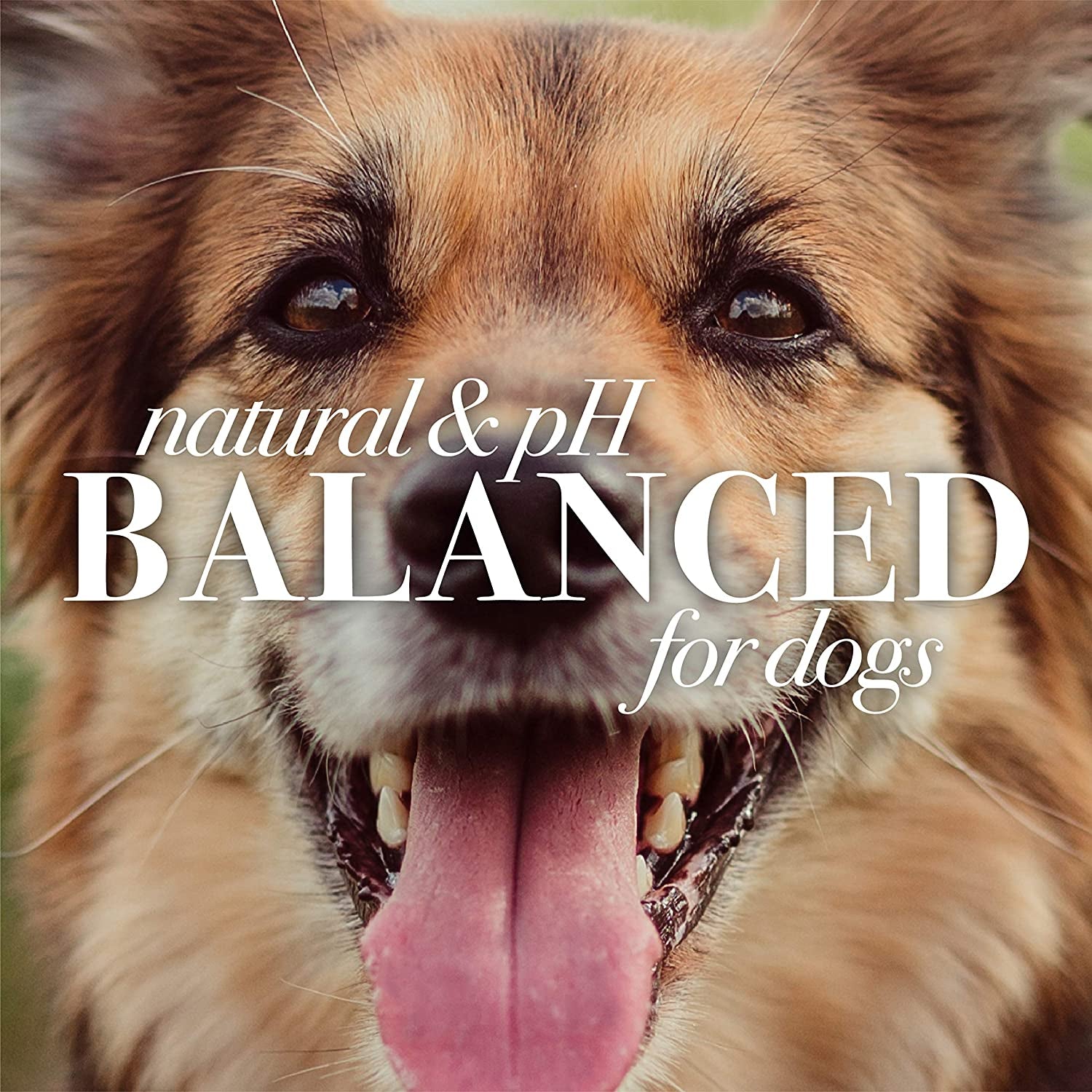 for Pets Multipurpose Dog Wipes with with Honey, 98% Natural Origin Formulas, Hypoallergenic Dog Wipes Cleaning, Dog Cleaning Wipes, Dog Wipes for Paws and Butt, 50Ct